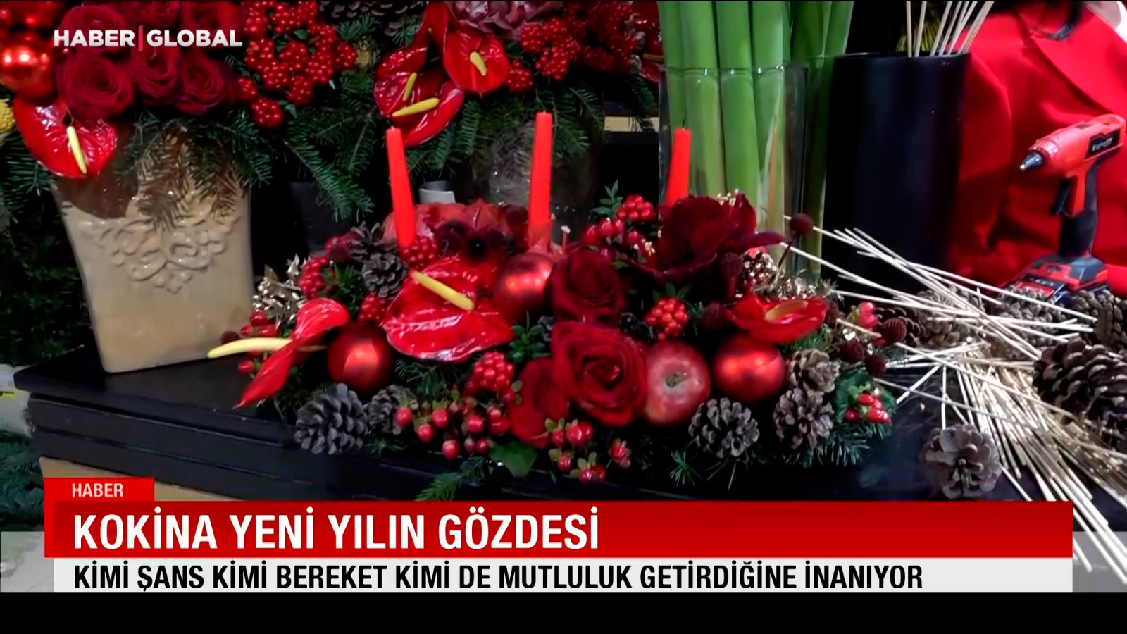 Kokina yeni yılın gözdesi: Kimi şans kimi bereket kimi de mutluluk getirdiğine inanıyor