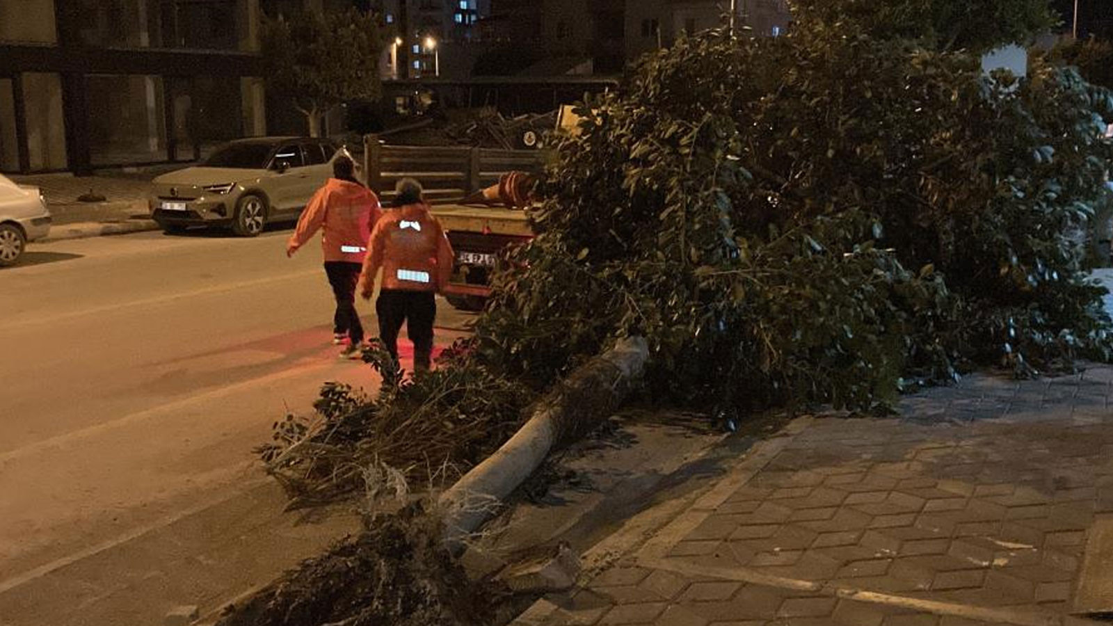 Mersin’de şiddetli rüzgar ağaçları devirdi