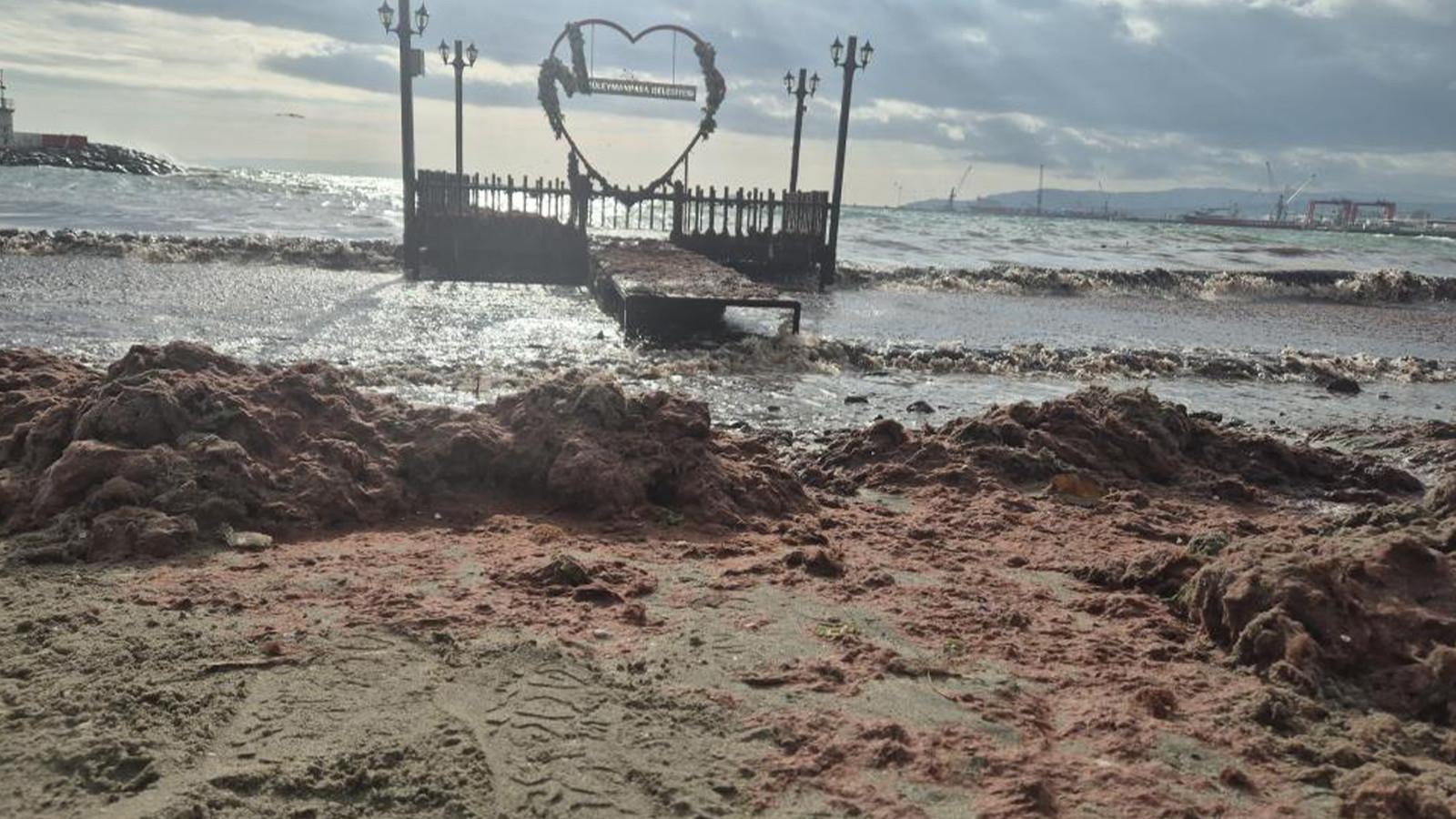 Tekirdağ'da kızıl alarm; dalgalarla birlikte sahile sürüklendi