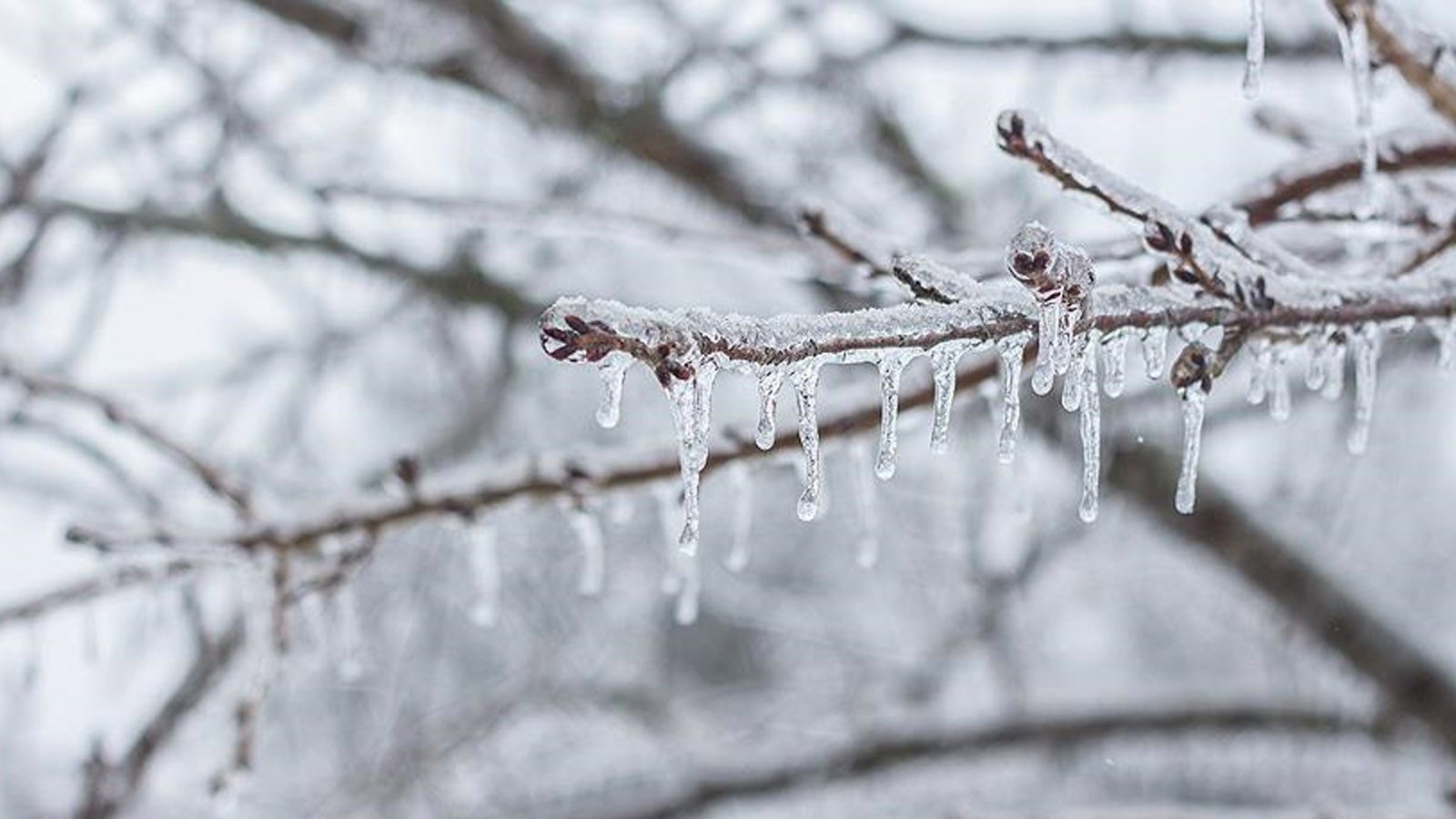Türkiye'nin en soğuk ili belli oldu! Termometreler eksi 30,3 dereceyi gösterdi