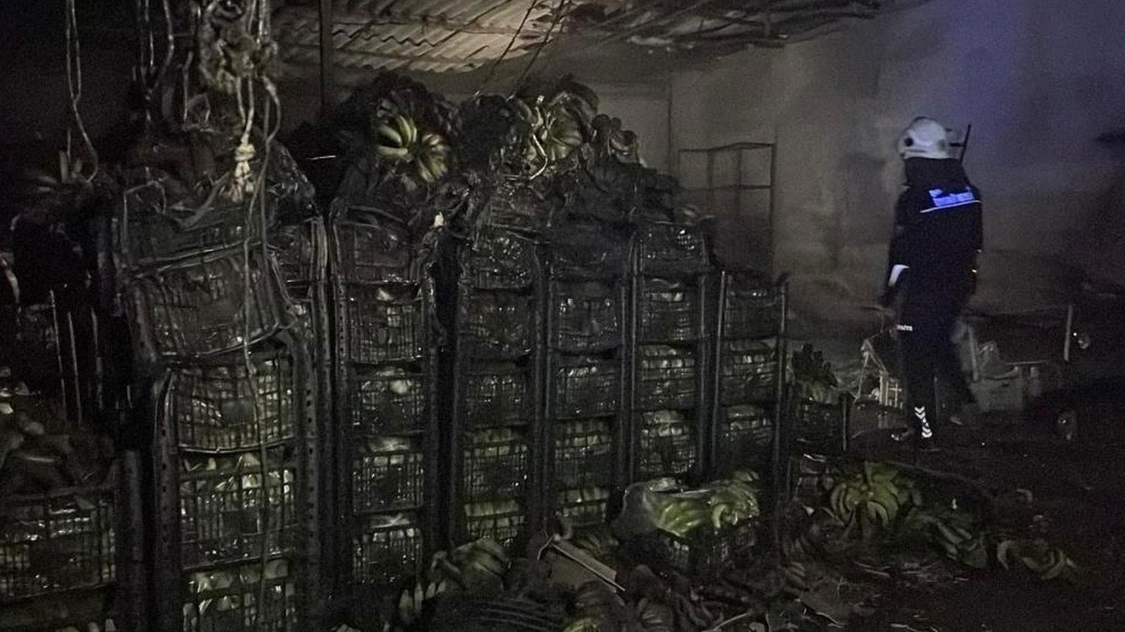 Alanya'da muz sarartma tesisinde yangın: Tonlarca muz küle döndü