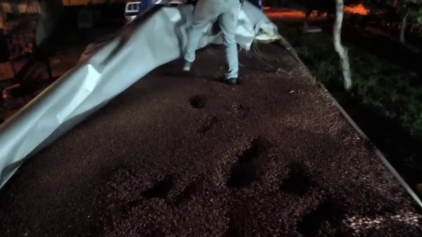 Fındıkla kamufle etmişler, piyasa değeri 30 milyon TL