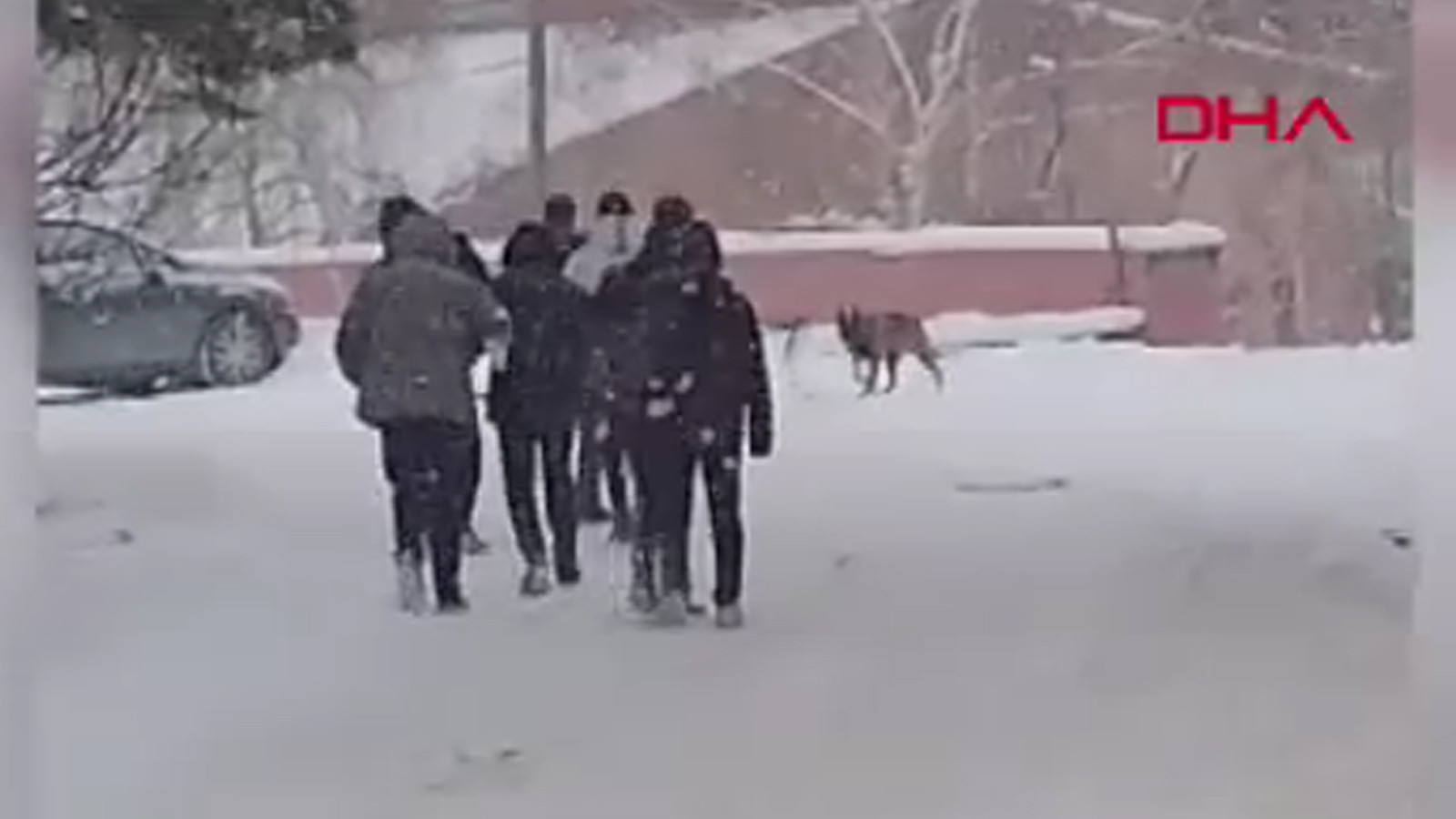 Okul bahçesine giren kurt köpeği öğrencilere saldırdı; 3 yaralı