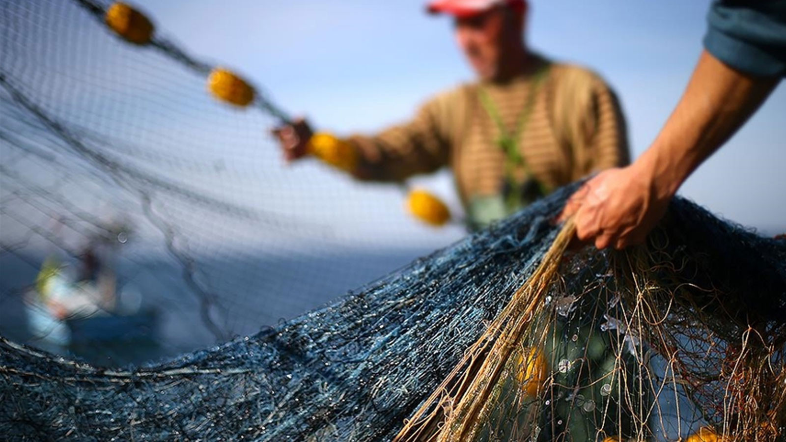 Türkiye'de 2025'te balık üretiminde cumhuriyet tarihinin rekoru kırıldı