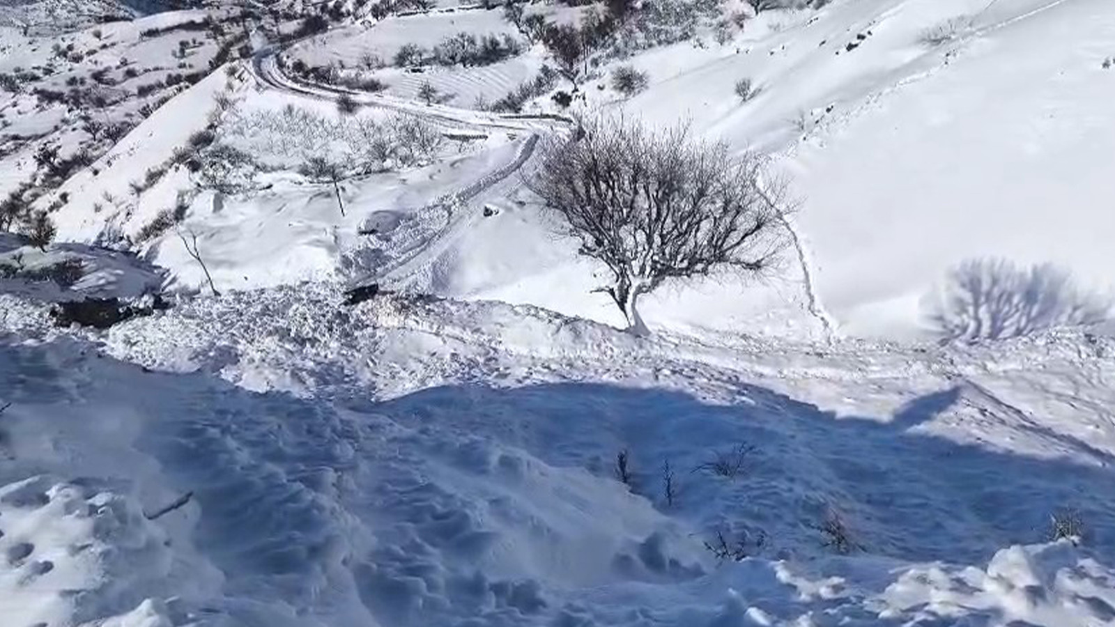 Ahıra çığ düştü: 44 küçükbaş telef oldu