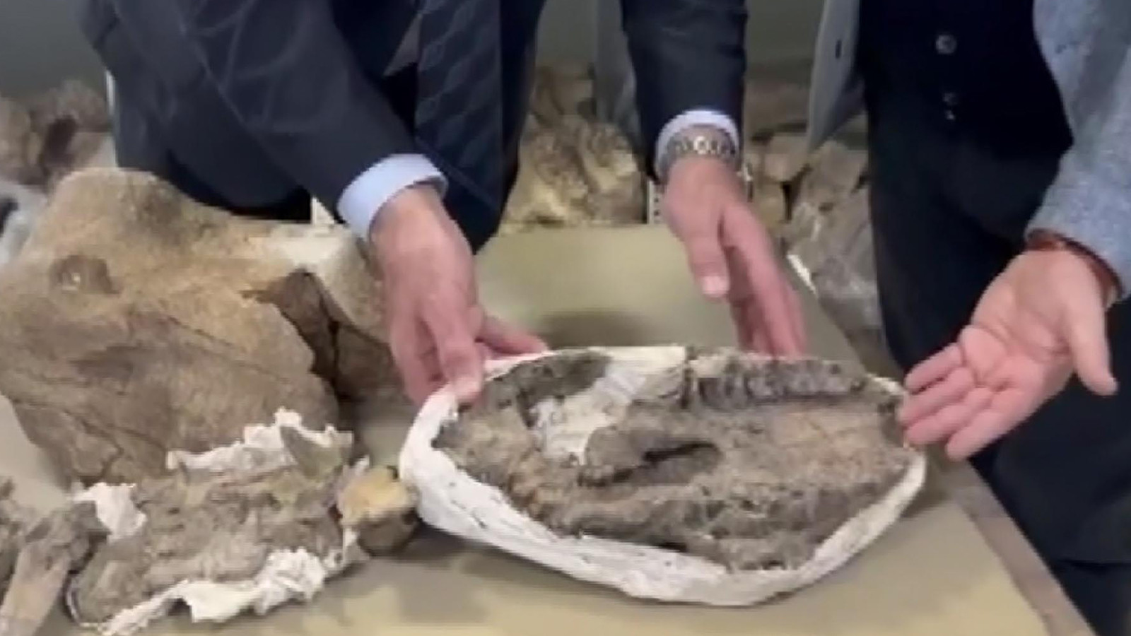 Iğdır'da 30 milyon yıllık keşif; dünyanın gelmiş geçmiş en büyüklerinden biri!