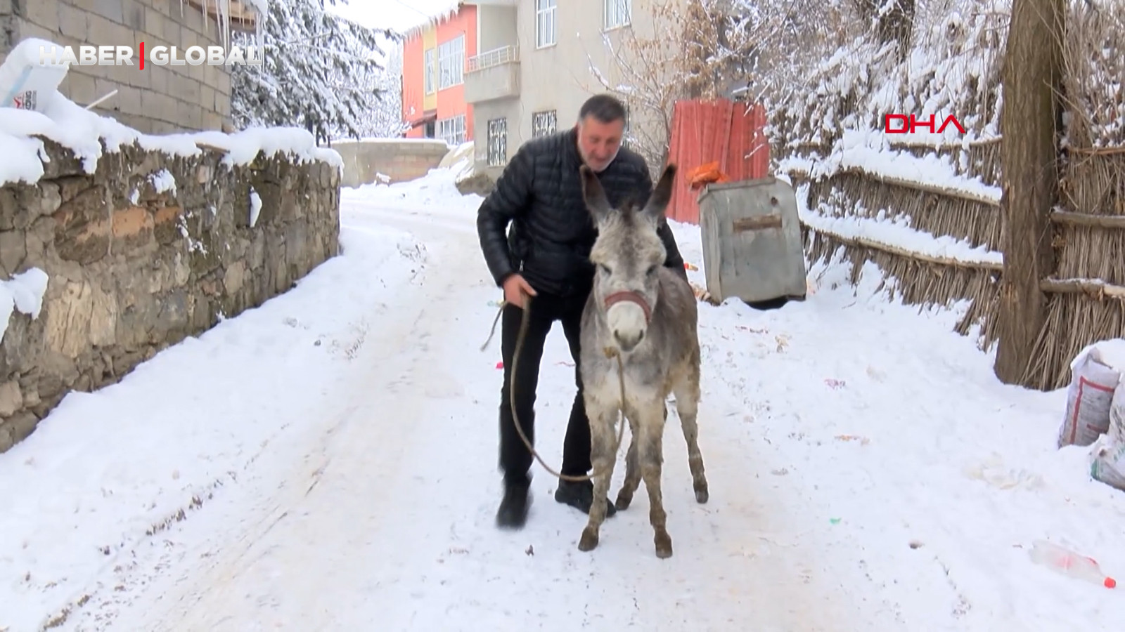 Muşlu yerel sanatçı dondurucu soğukta kışın ölüme terk edilen at ve eşeklere bakıyor