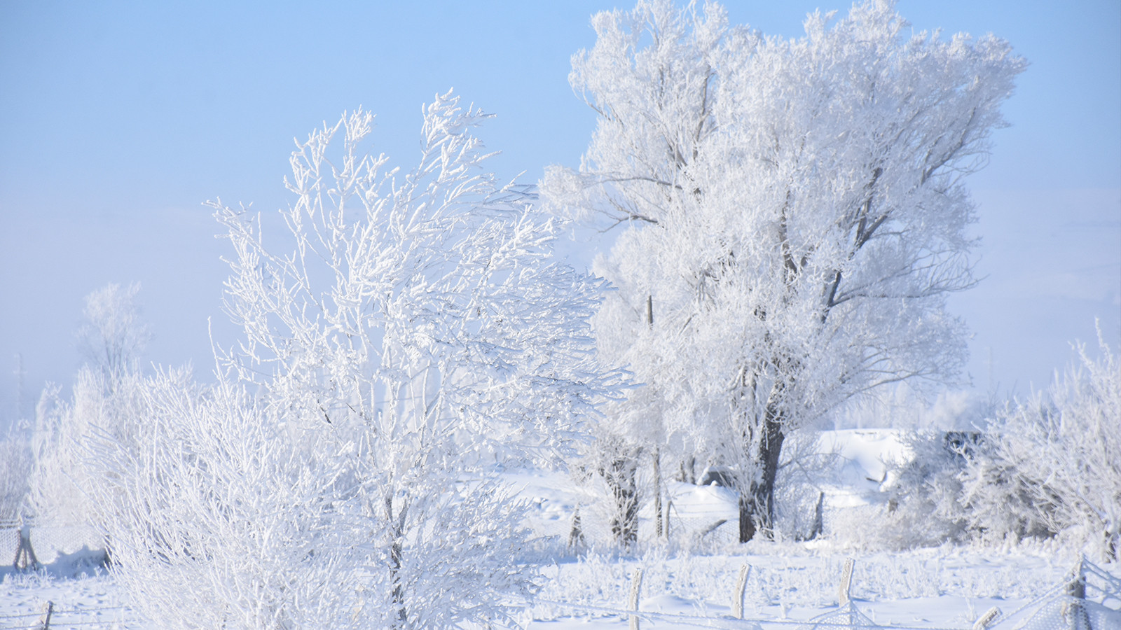 Sivas buz kesti; çok sayıda yerleşime ulaşım durdu