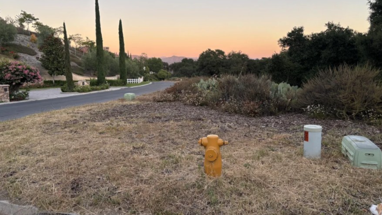 120 kişiden sadece 2'si gördü! Resimdeki gizli tavşanı sadece IQ'su yüksek olanlar 9 saniyede buluyor