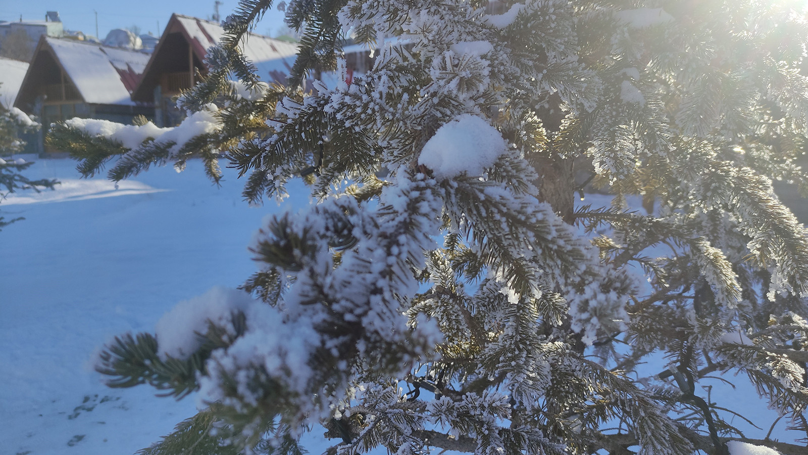 Ardahan’da Sibirya soğukları: Göle eksi 36’yı gördü