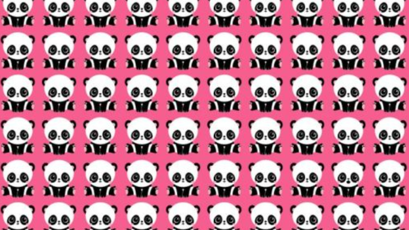 İşte akıl karıştıran zeka testi: Resimdeki farklı pandayı 6 saniyede bulmayı başaranlar dahi sayılıyor