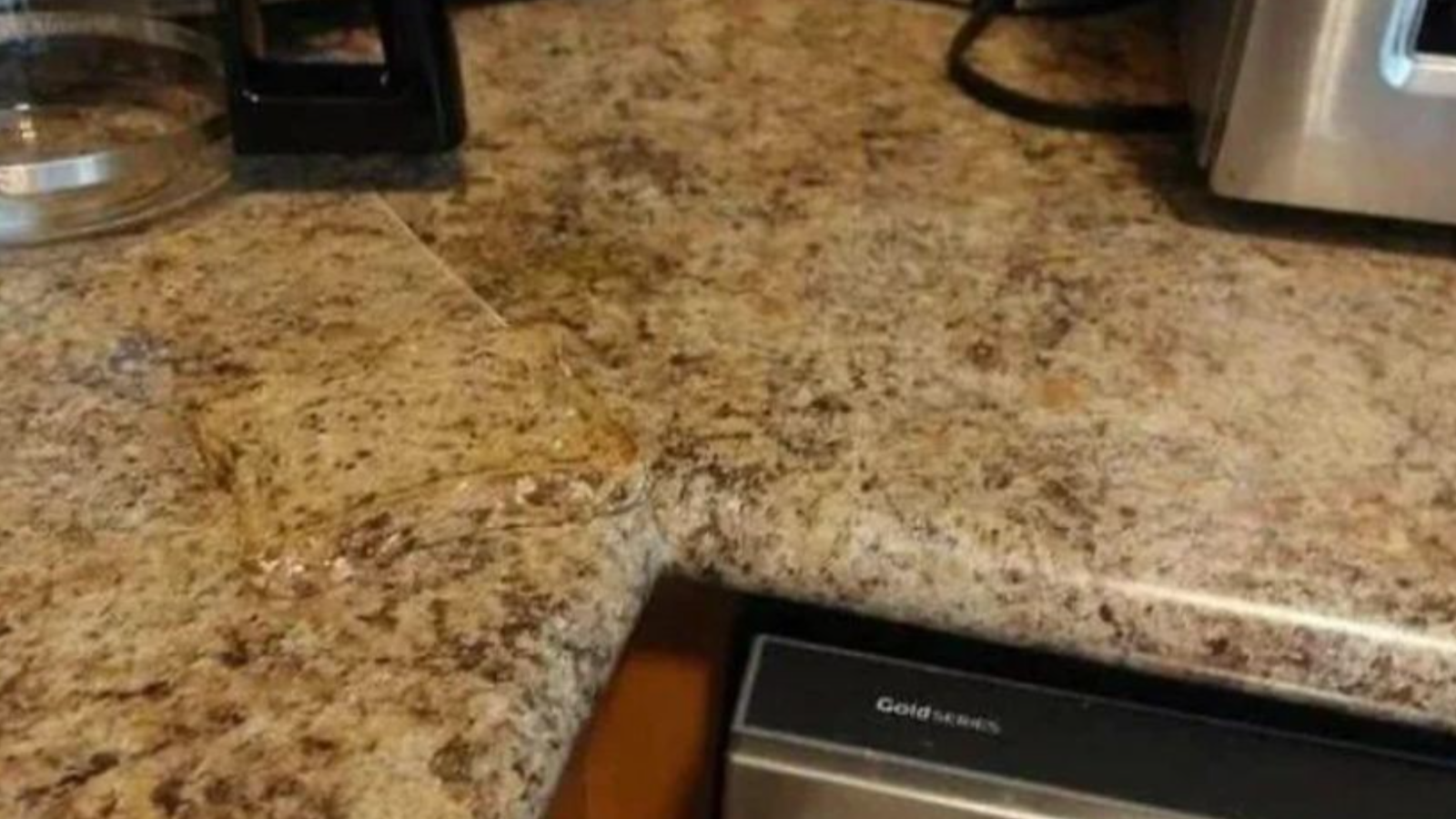 Kartal gözlü dahiler anında buluyor! Resimde saklı tostu 5 saniyede bulmak için en az 130 IQ gerekiyor