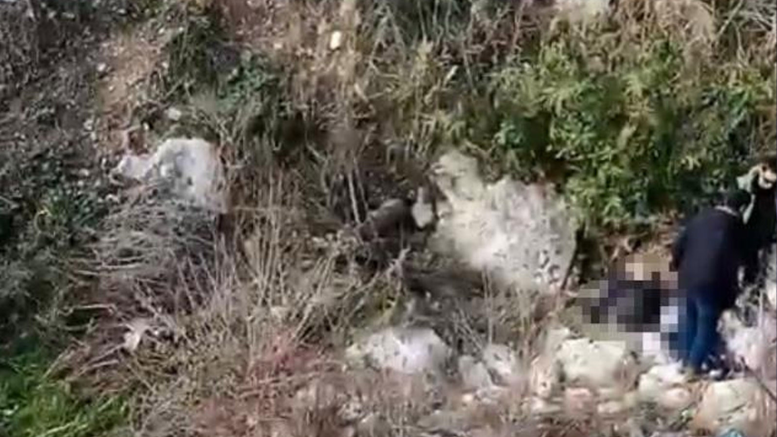 Balıkesir'de kayıp olarak aranıyordu! Cansız bedeni Mersin'de bulundu