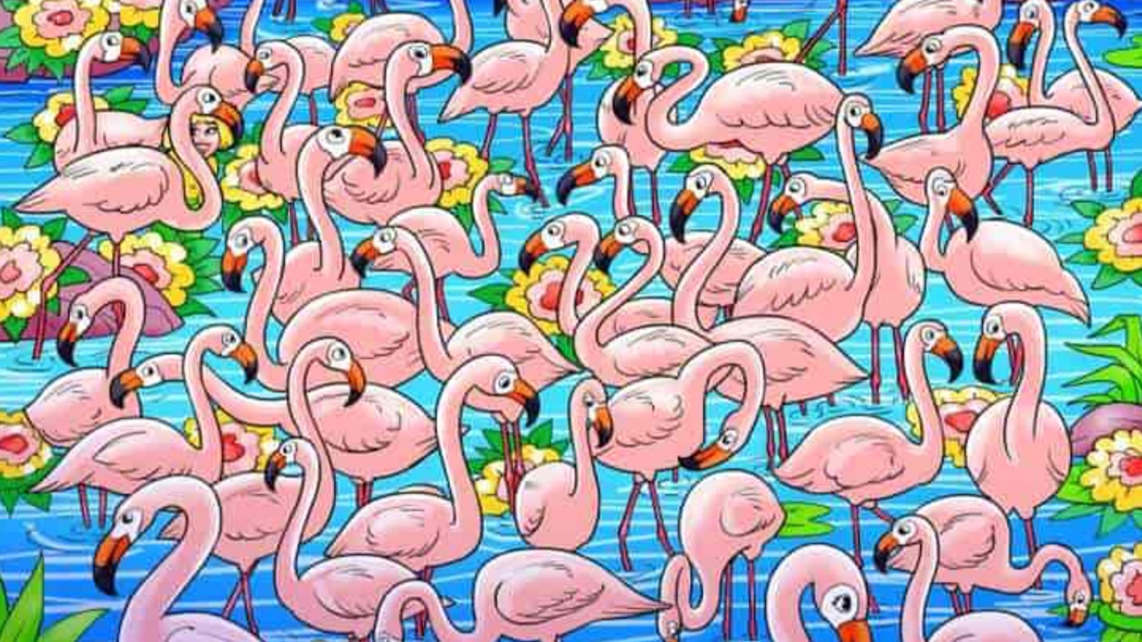 Dürbünle bakmak bile işe yaramıyor! Resimde saklı kızı 5 saniyede görmek için bir dahi olmak gerekiyor