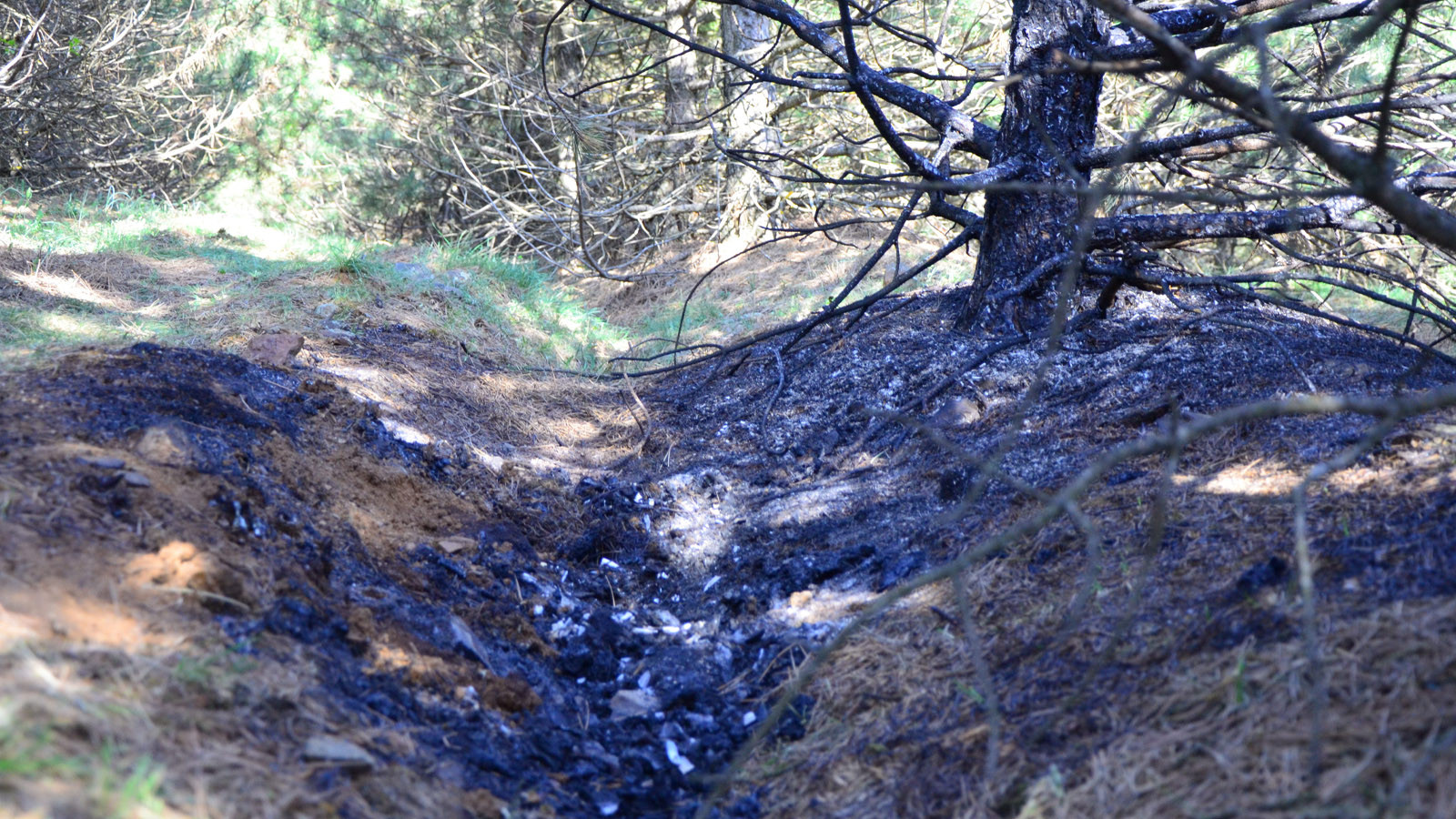 Kan donduran kadın cinayeti: Elleriyle boğarak öldürüp, cesedini 2 kez benzin dökerek yakmış