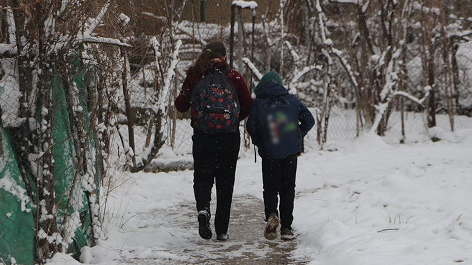 Şanlıurfa'da 7 ilçede okullar tatil edildi