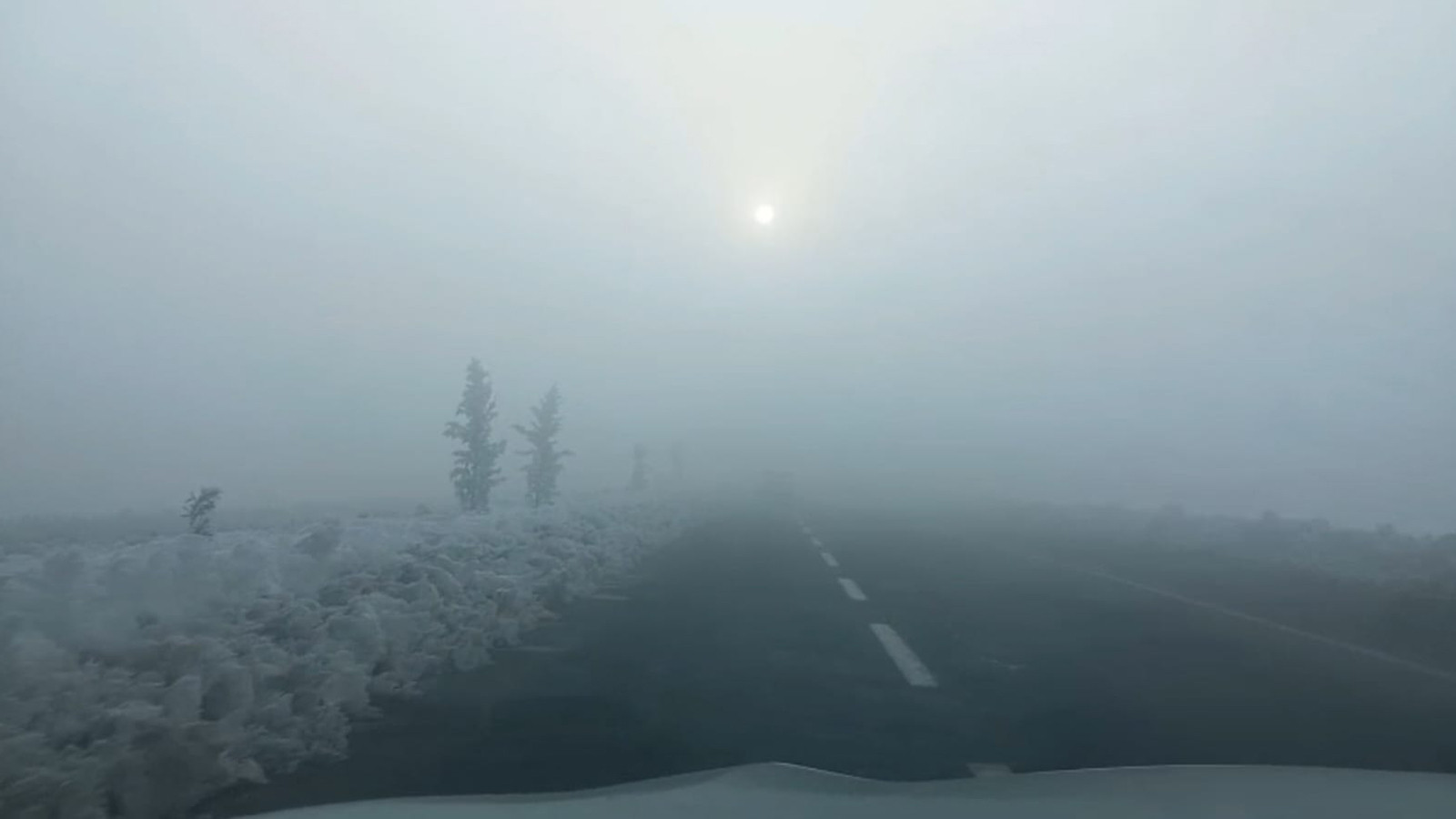 Diyarbakır'da göz gözü görmedi! Uçak seferleri aksadı