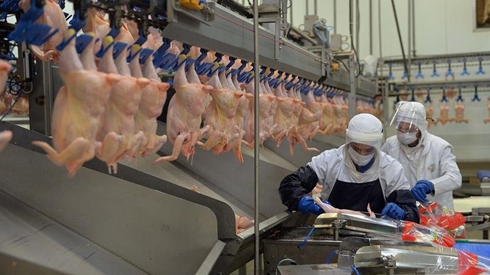 Vatandaşa kötü haber! Kırmızı etin ardından beyaz ete de zam geliyor