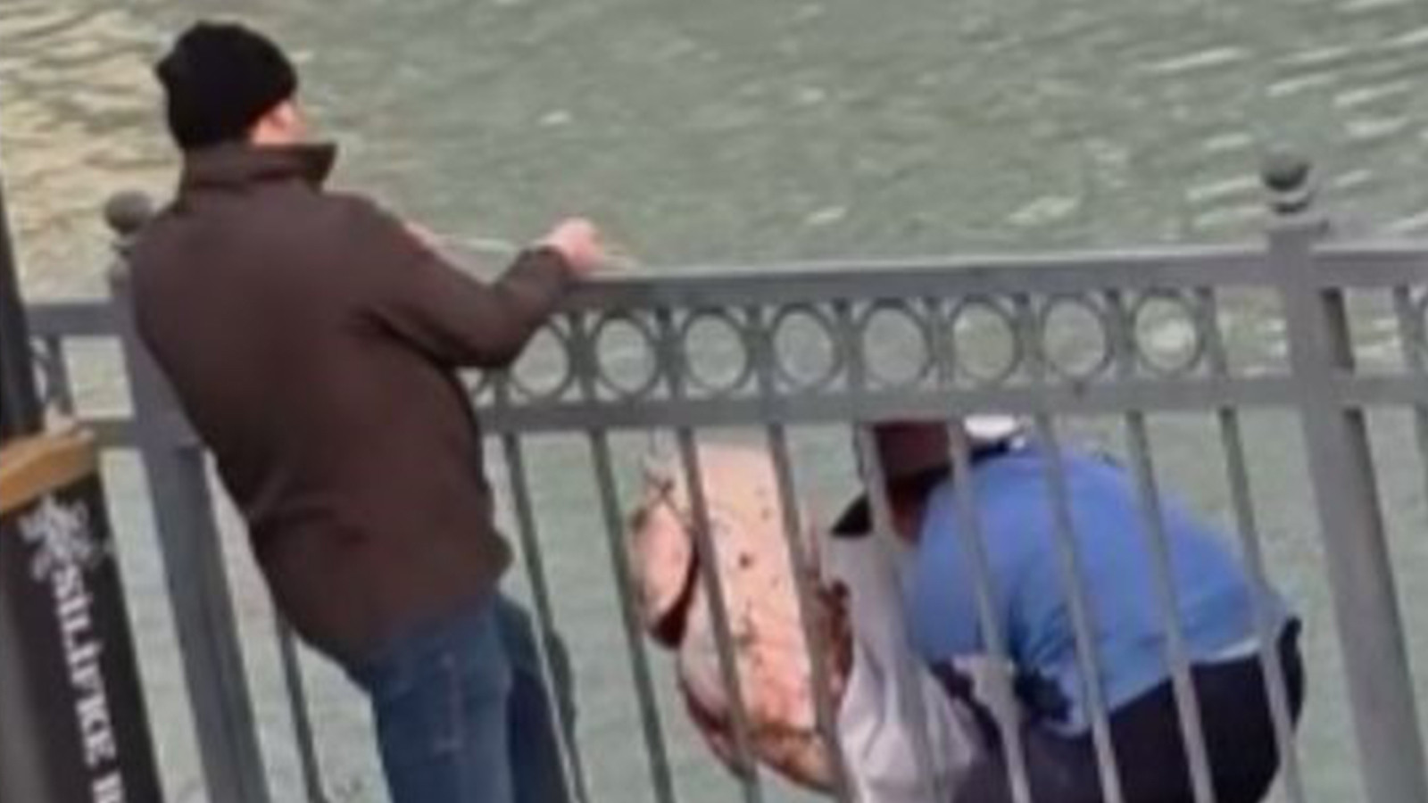 Göksu'da terleten balık mesaisi: Güçlükle kıyıya alınabildi