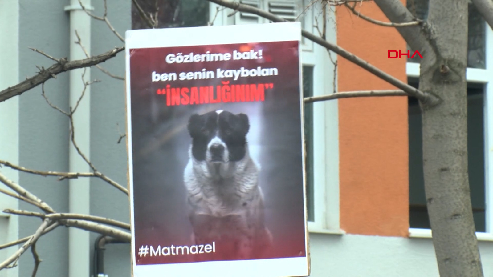 Hayvanseverlerden "Matmazel" açıklaması