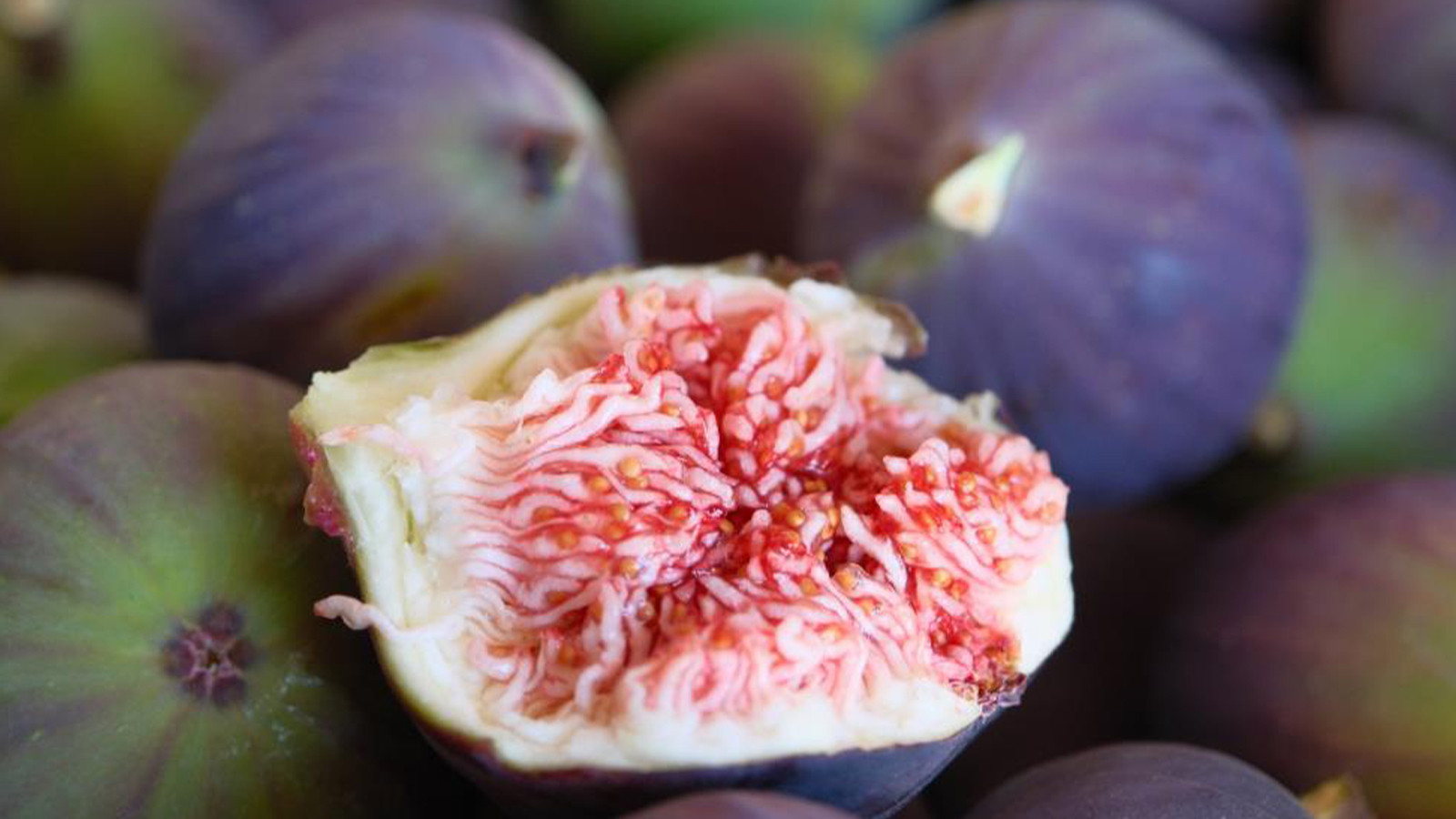 Kilosu 4,43 dolardan satılıyor; "Bursa Karası"na yurt dışından talep yağıyor