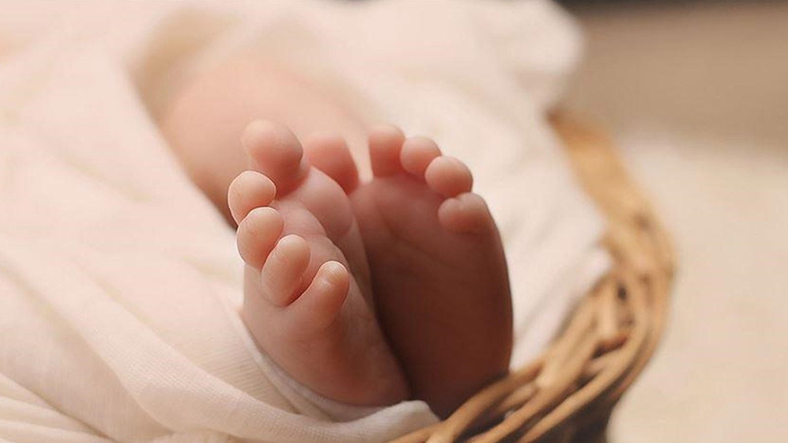 Bakan Göktaş'tan 'doğum izni' açıklaması: Düzenleme ne zaman Meclis'e gelecek?