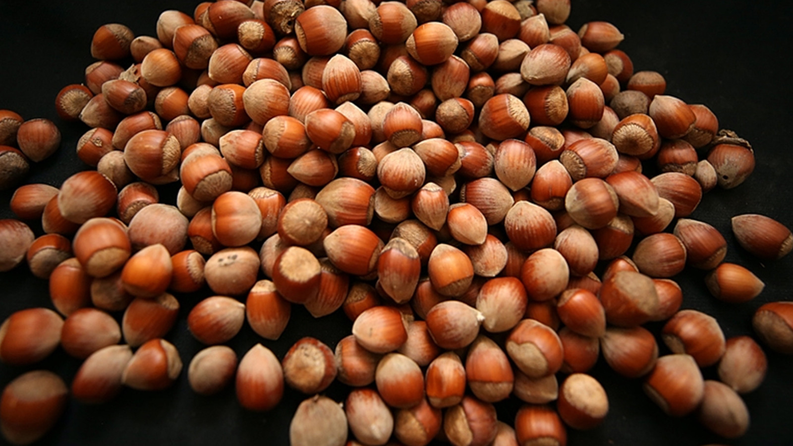 Ticaret borsalarında 179 bin tonu aşkın fındık işlem gördü