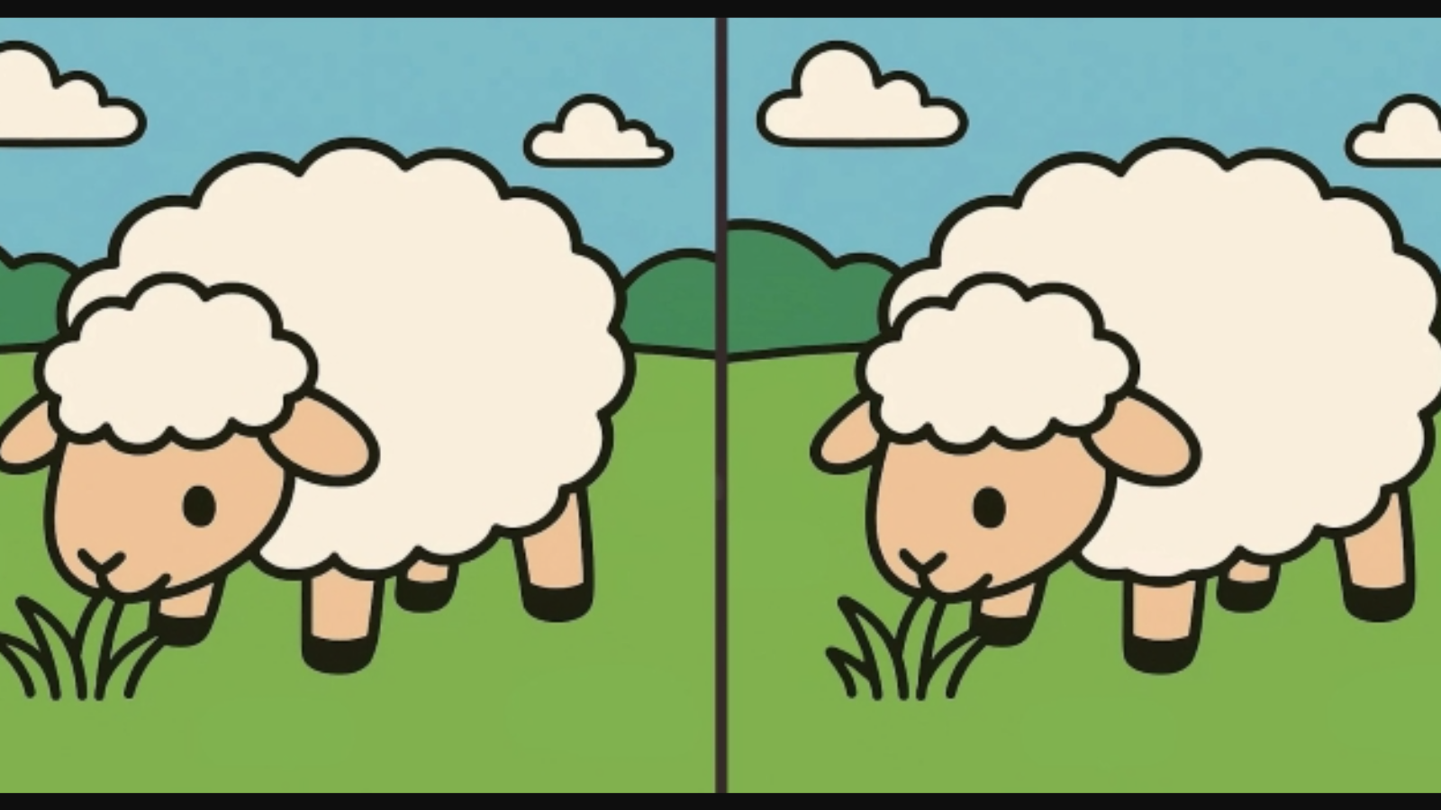 Yeşillik alanda otlanan iki koyun arasındaki 3 farkı sadece dahiler buluyor