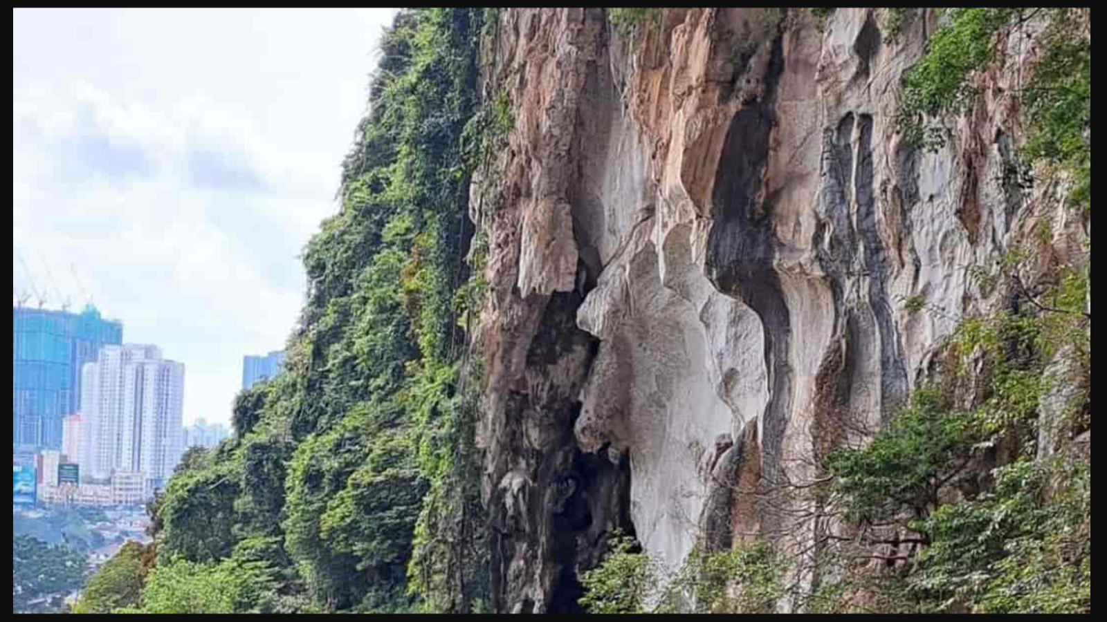 En yetenekli gözlerden bile kaçıyor! Resimdeki maymunu sadece en zekiler buluyor