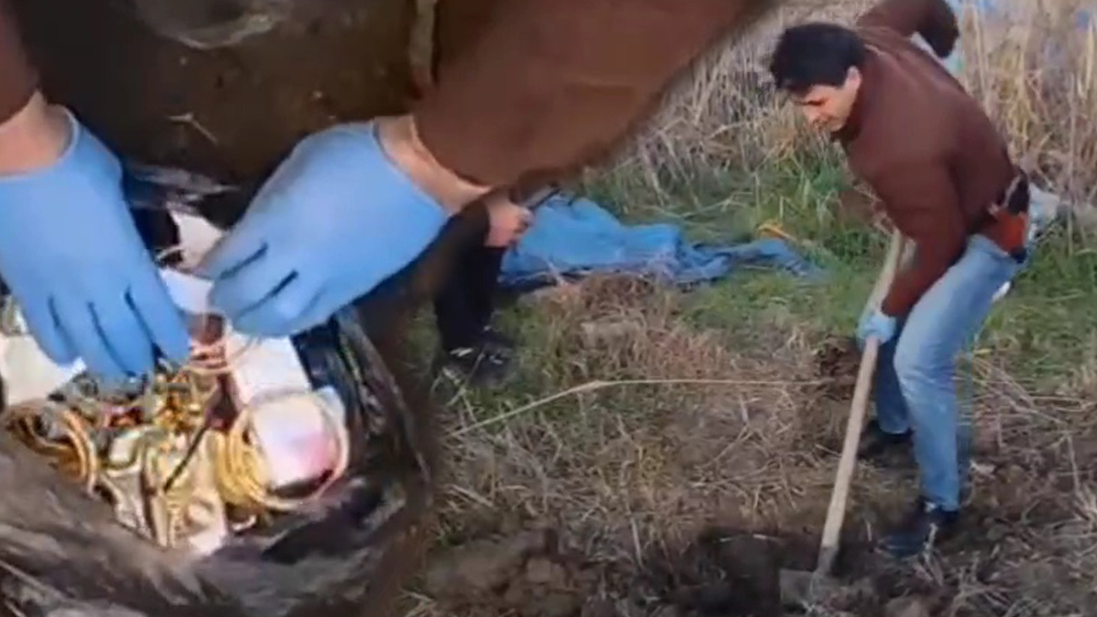 Akıllara durgunluk veren olay... Toprağı kazdıkça altın fışkırdı!