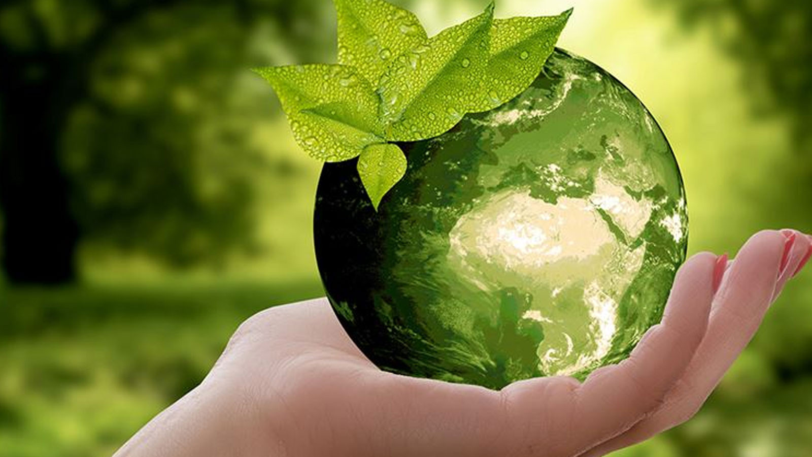 "Sıfır Atık Sanat Yarışması” başvuruları başladı