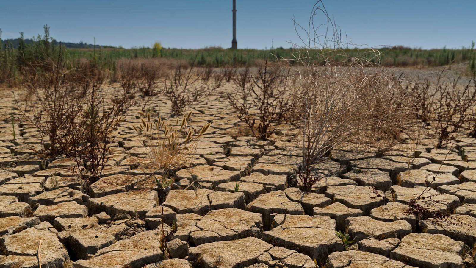 Yağış azaldı, su tüketimi arttı! İzmir için kritik uyarı: Kuraklık kalıcı hale geliyor