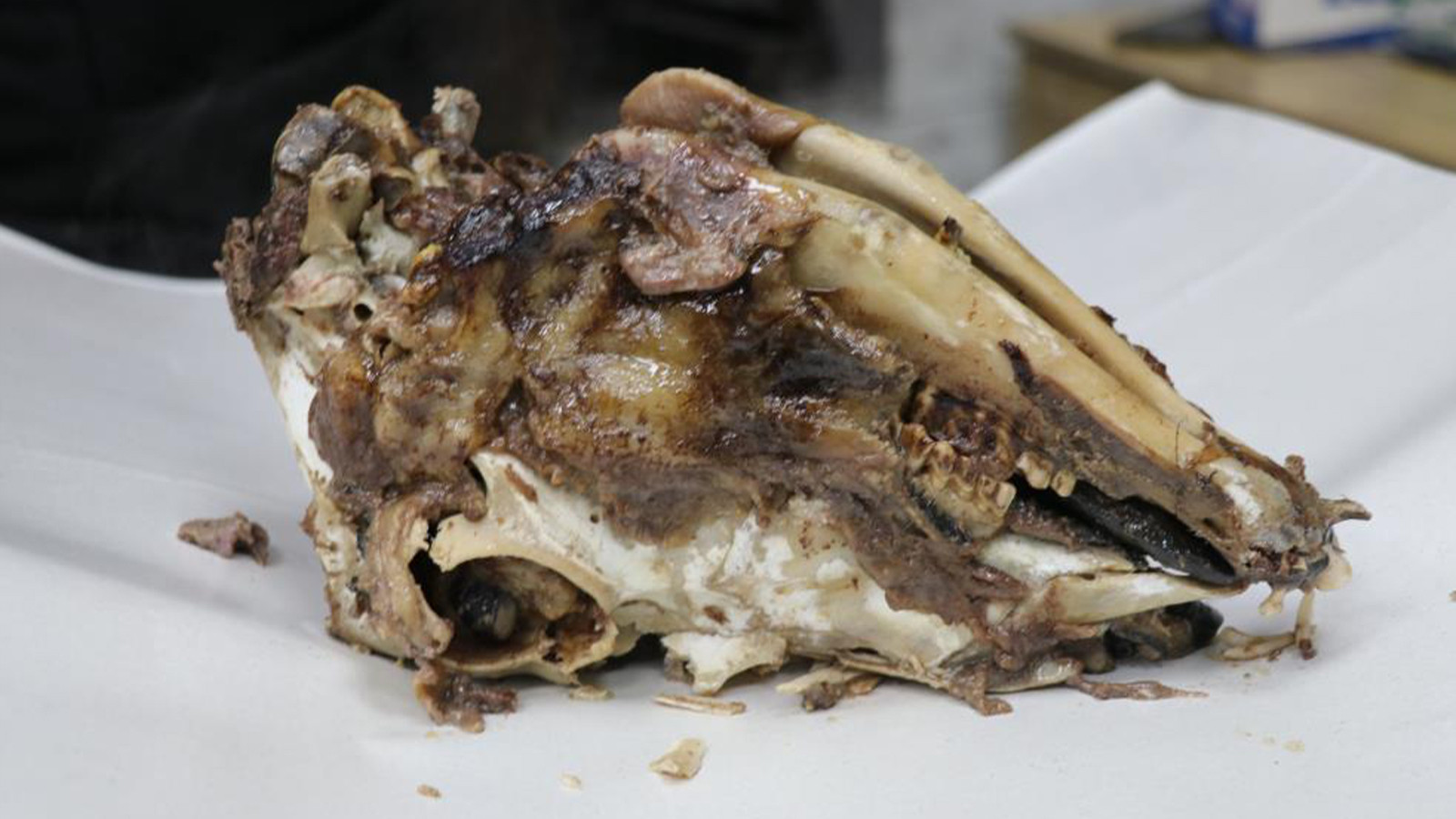 Sivas'ın sıra dışı kahvaltısı! Görüntüsü ürkünç ama lezzeti eşsiz; fiyatı 300 TL