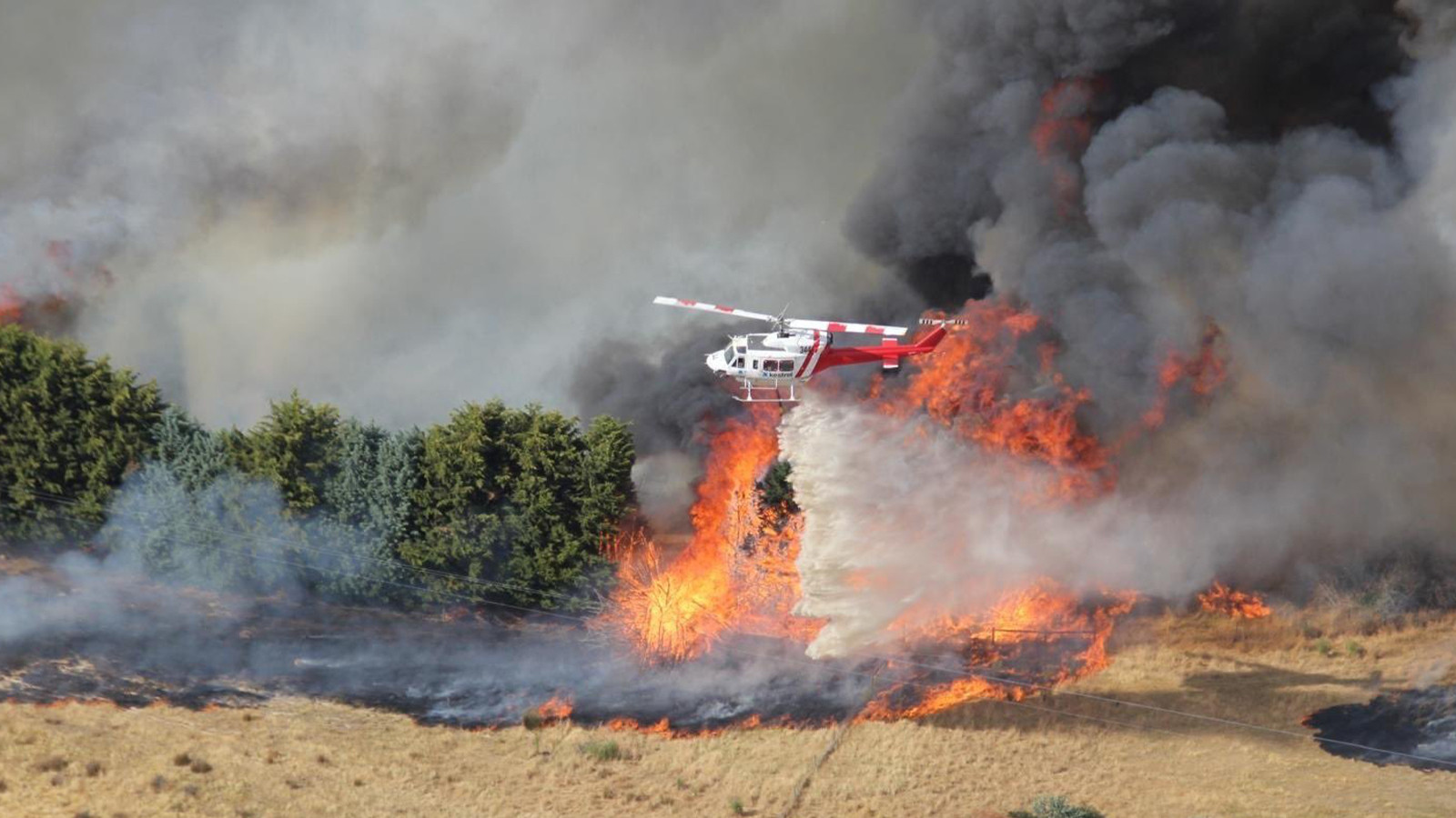 Ülke orman yangınlarıyla mücadele ediyor; binlerce kişiye tahliye emri!