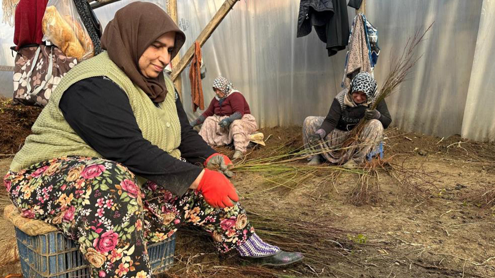 Türkiye'de her bahçenin yolu bu köyden geçiyor
