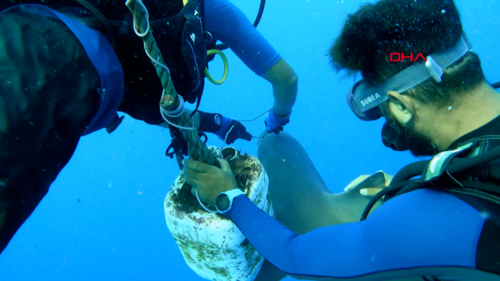 Olta kancasına takılan camgöz köpek balığını dalgıçlar kurtardı