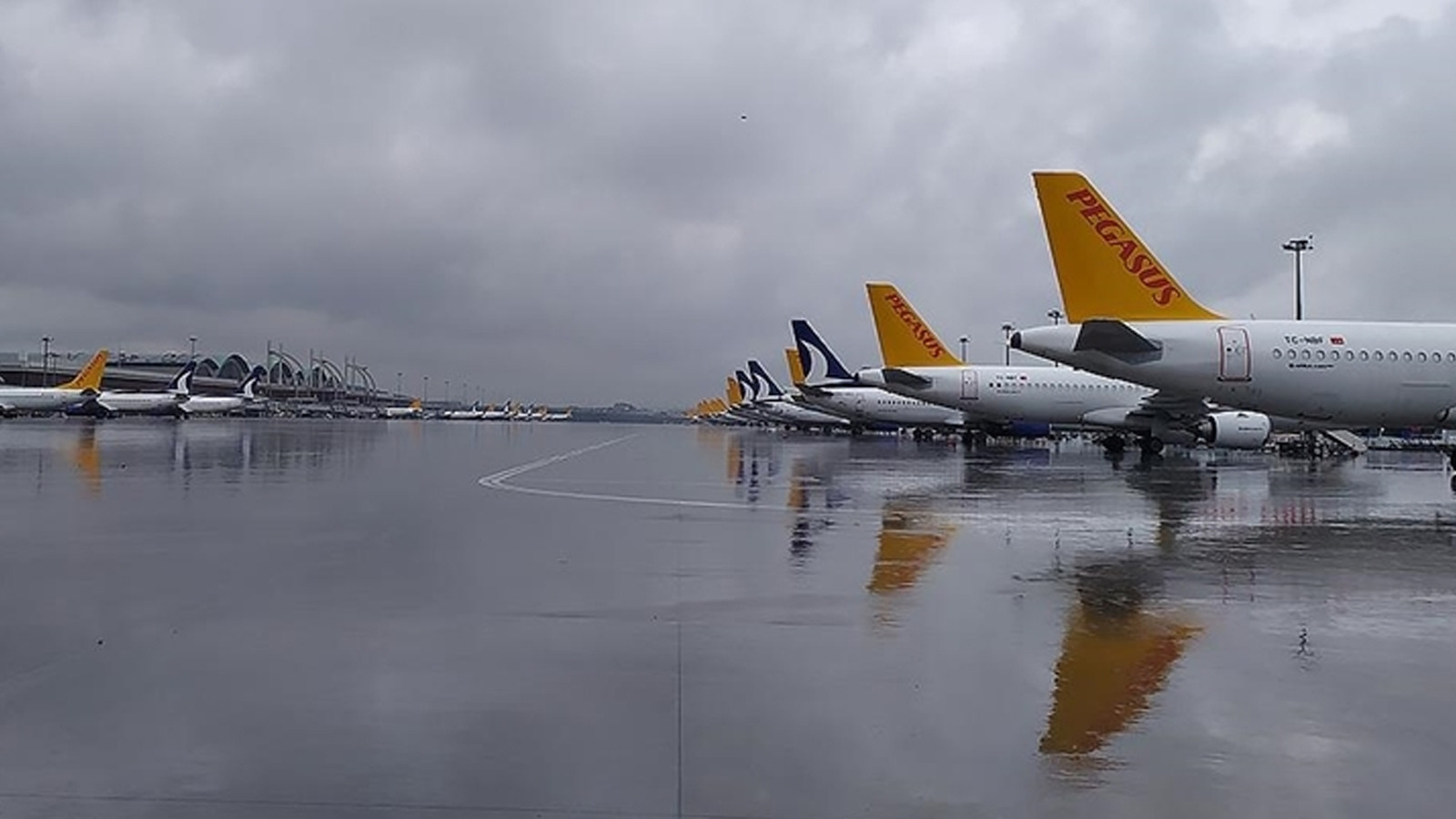 Pegasus, 46 seferini iptal etti