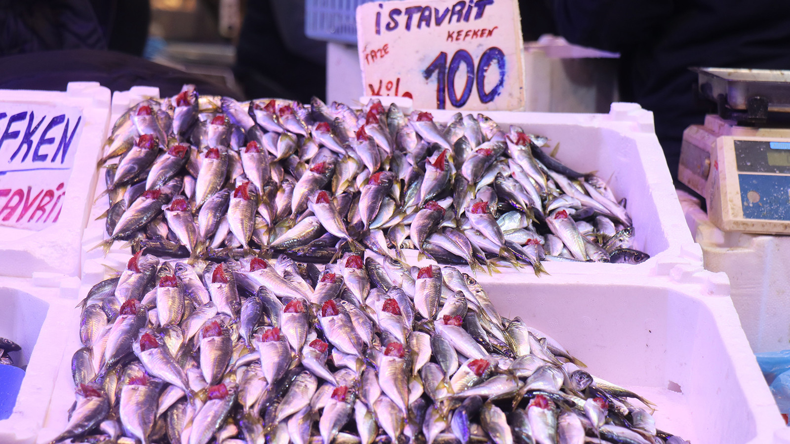 Tezgahlar doldu, fiyatlar dibi gördü! 100 TL'ye kadar düştü