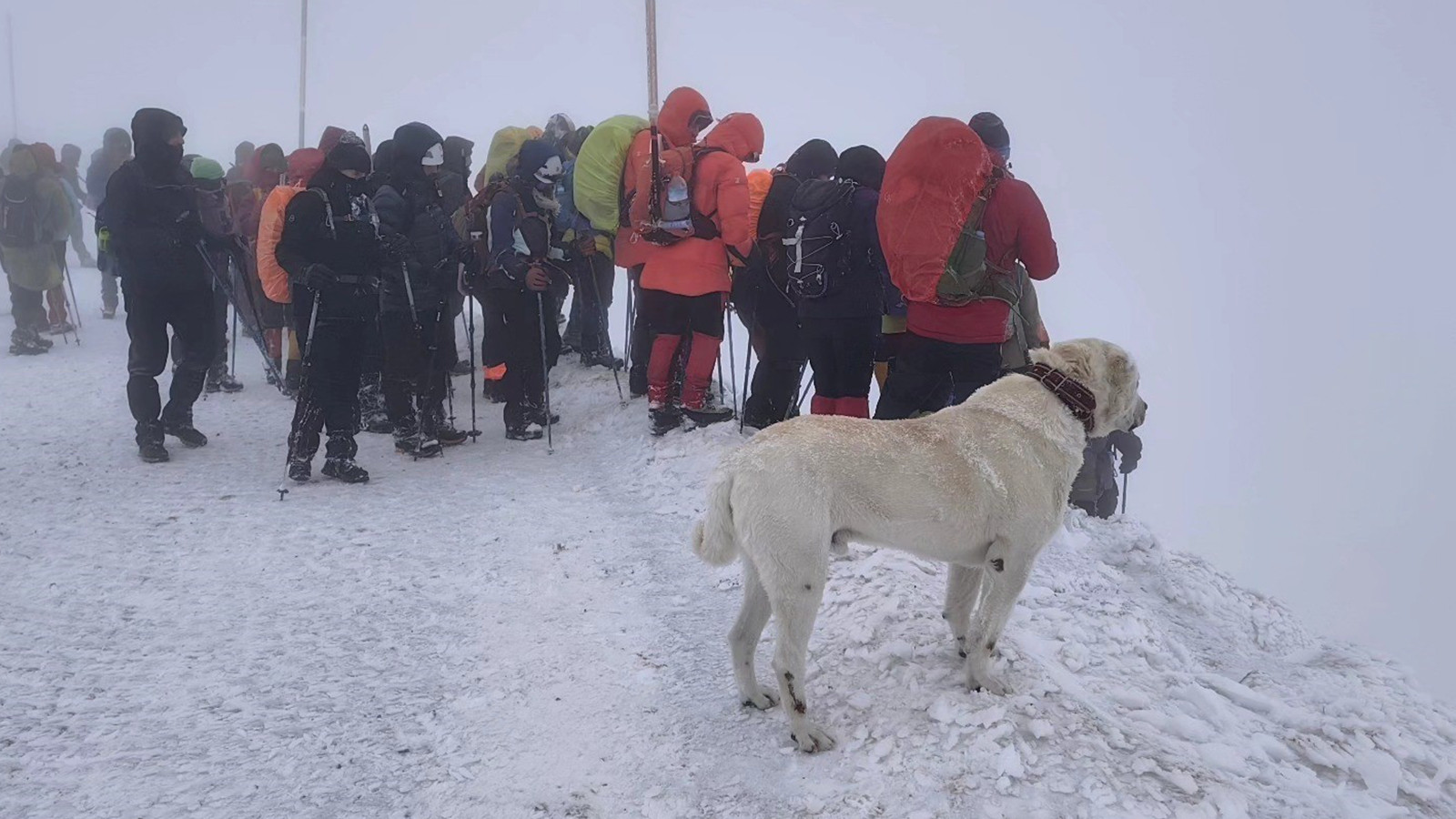 Kazıkbeli Savaşı anısına Honaz Dağı'na zirve tırmanışı