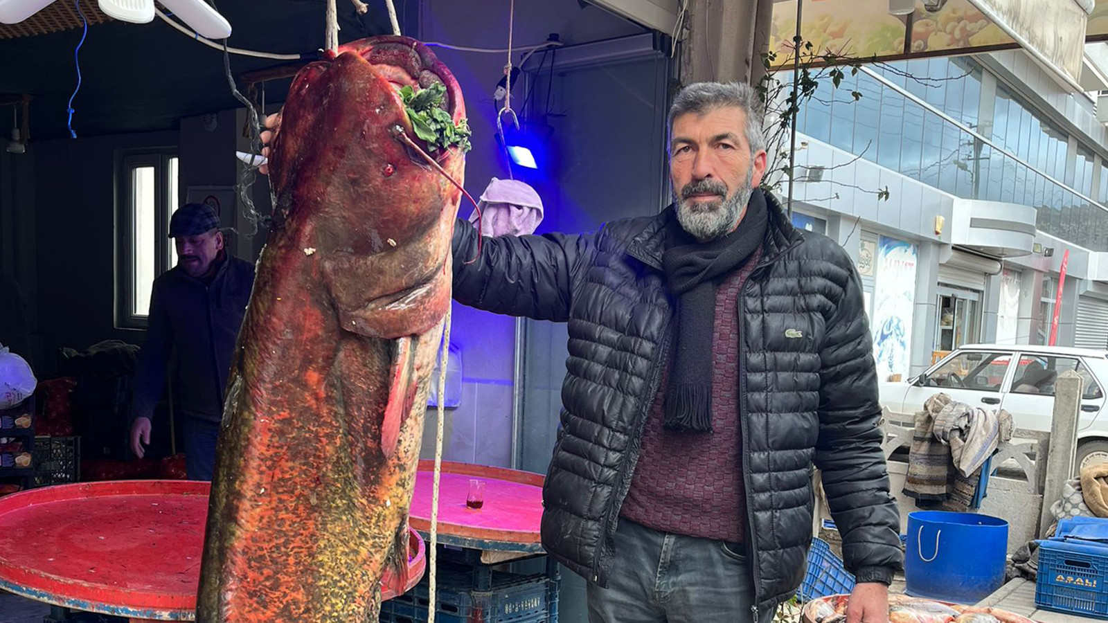 2 metre boyunda, 85 kilo ağırlığında; gölde balıkçıların ağına takıldı