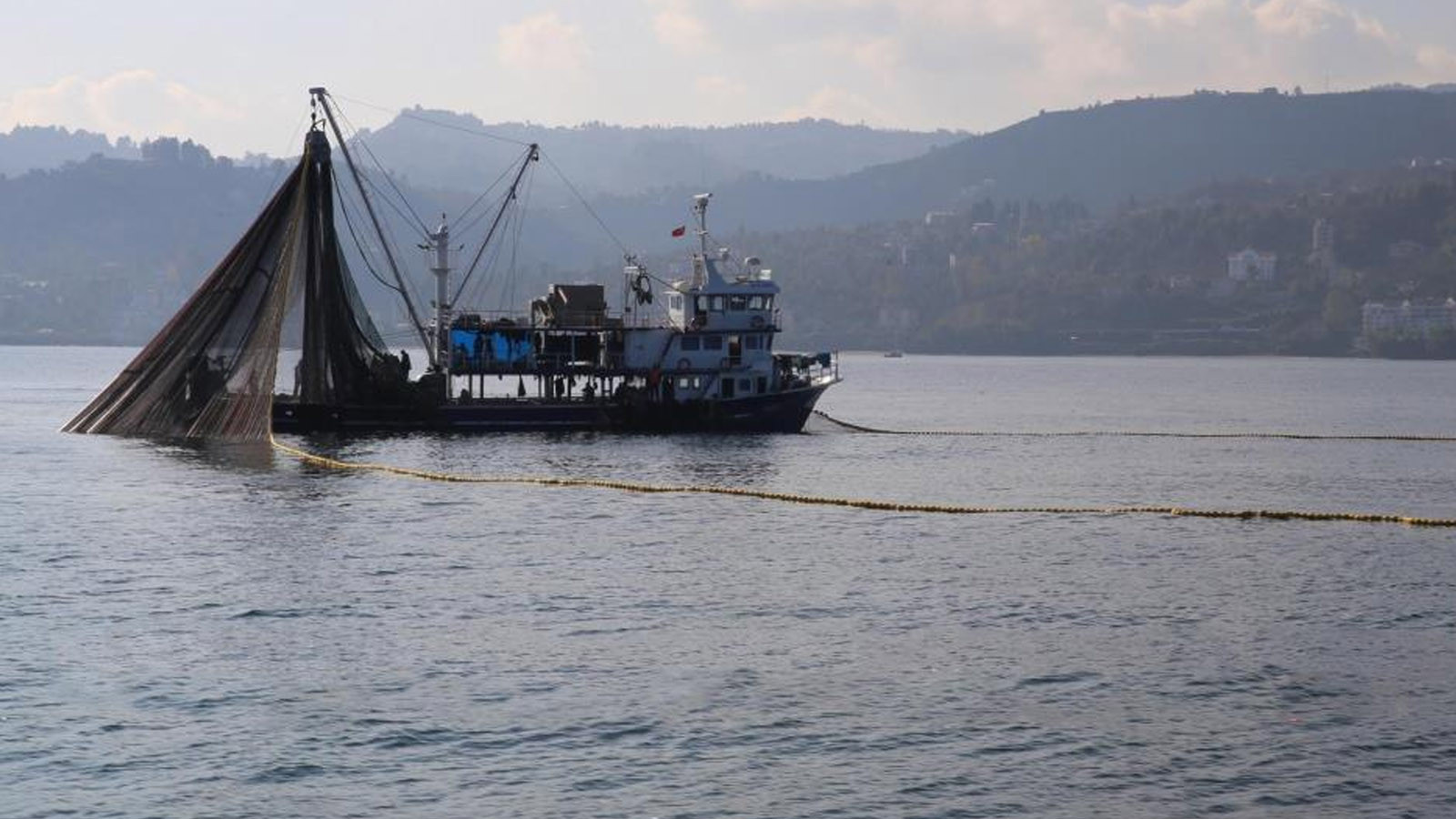 Bazı balıkların avlanmasına yasak getirildi