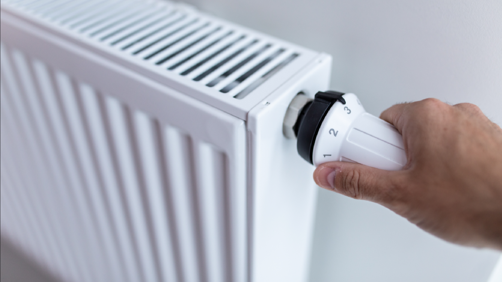 Mandalina kabuklarını kalorifere bırakanlar şaşkınlığını gizleyemiyor