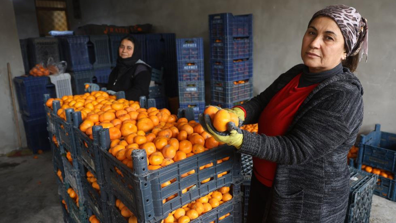 "Gelin bedava toplayın" çağrısı yapıldı ama alan yok! Toprak turuncuya döndü