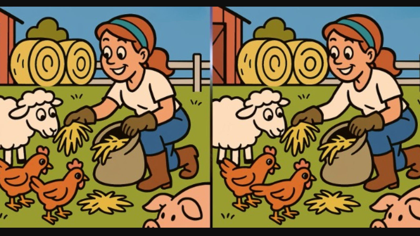 Bu iki resimdeki 3 farkı sadece dahiler buluyor