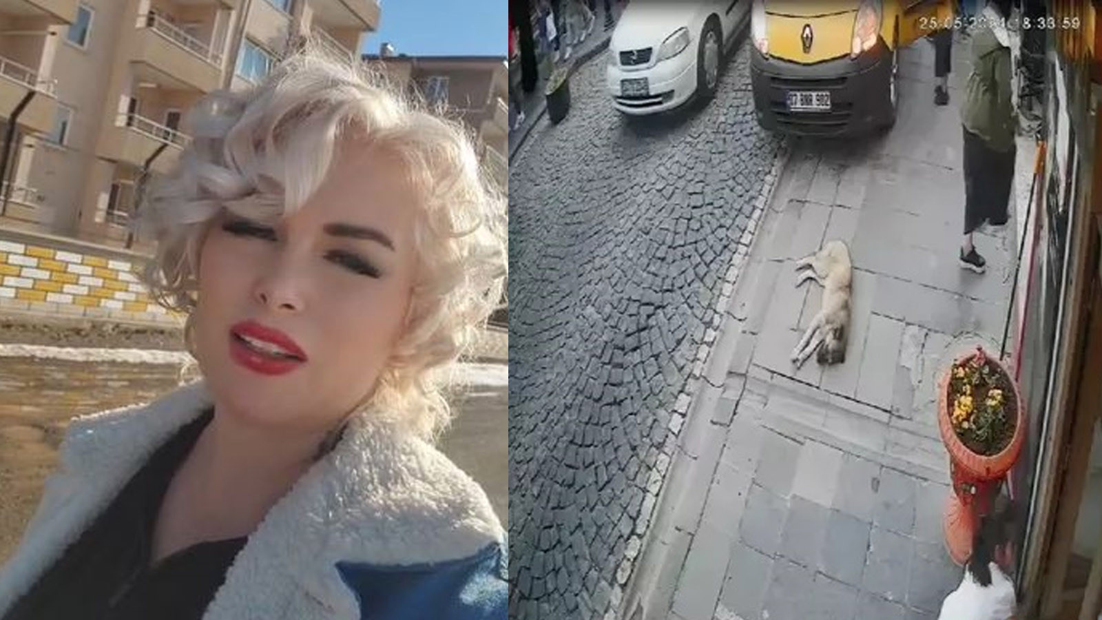 “Mardinli Marilyn Monroe” hakkında hapis kararı! Çektiği görüntüler nedeniyle cezaevine girdi