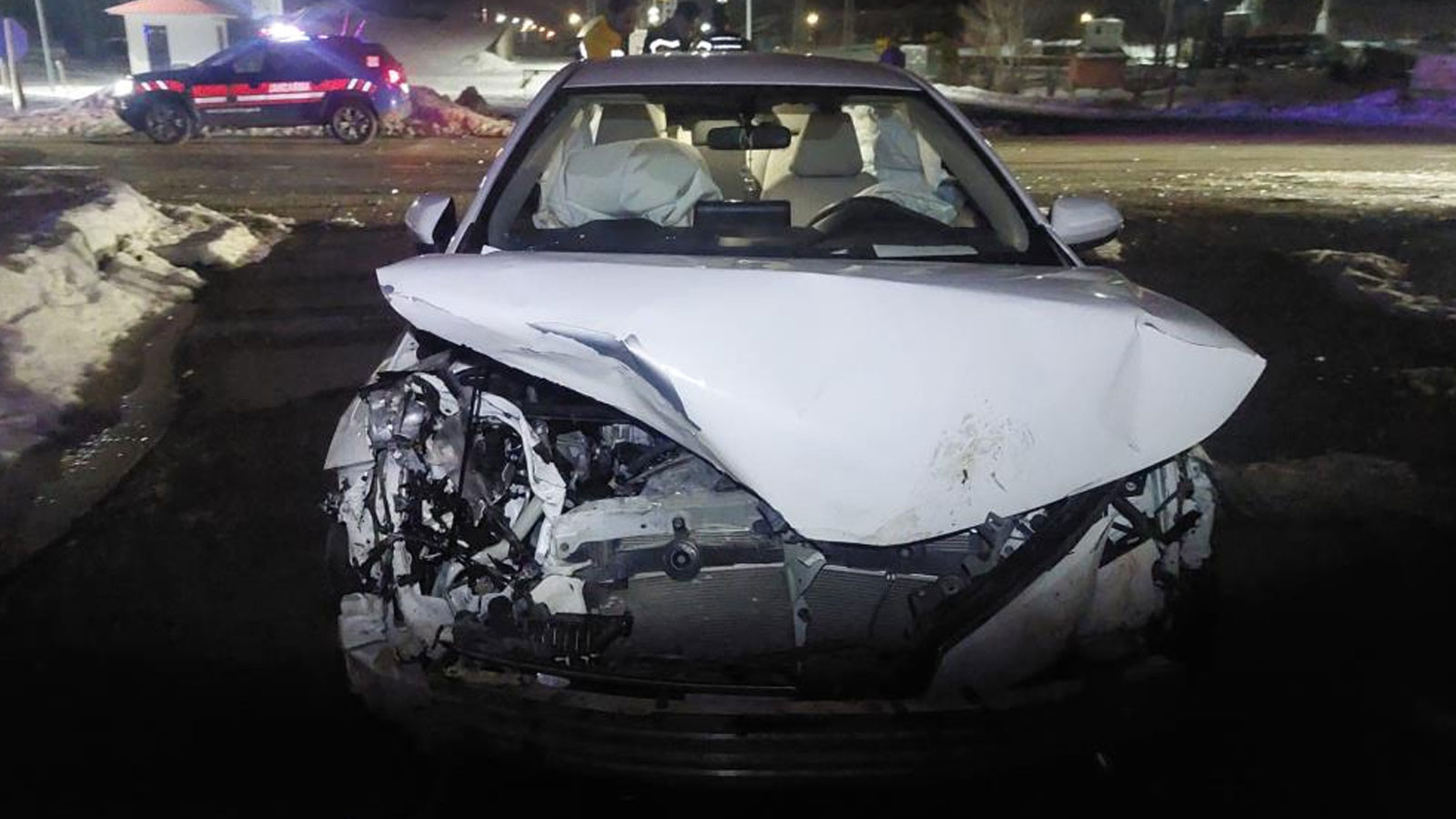 Bingöl’de domuz sürüsünün çarptığı otomobilde maddi hasar oluştu