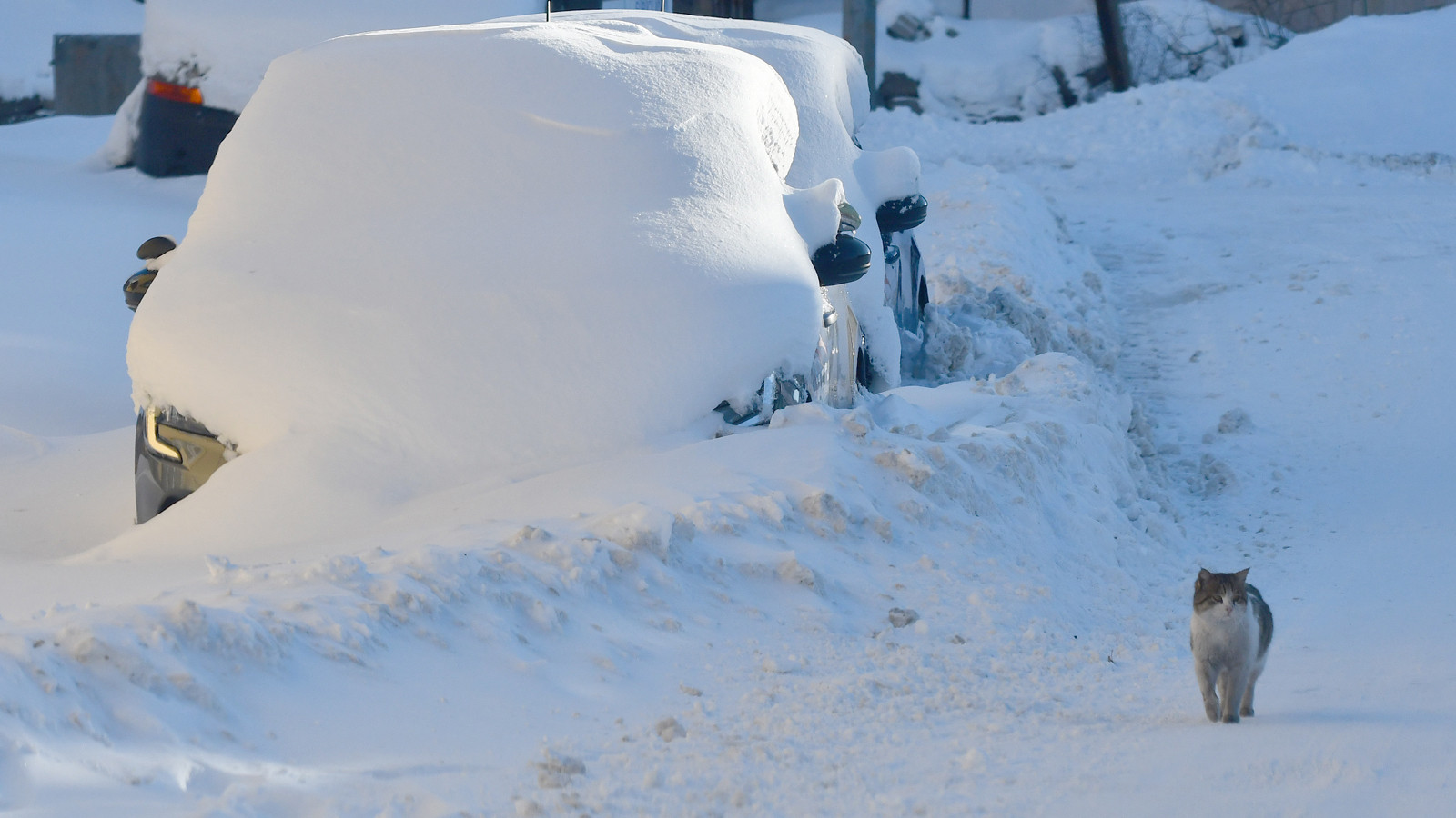 Bu şehirlere 17 Ocak 2026 Cumartesi günü lapa lapa kar yağacak!