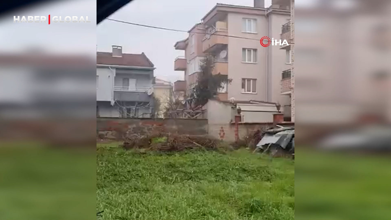 Sokak aralarında gezen tilki şaşırttı