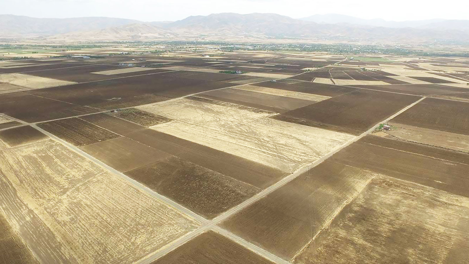 Tarlalar şehirlere yeniliyor, Ankara kadar alan kayboldu