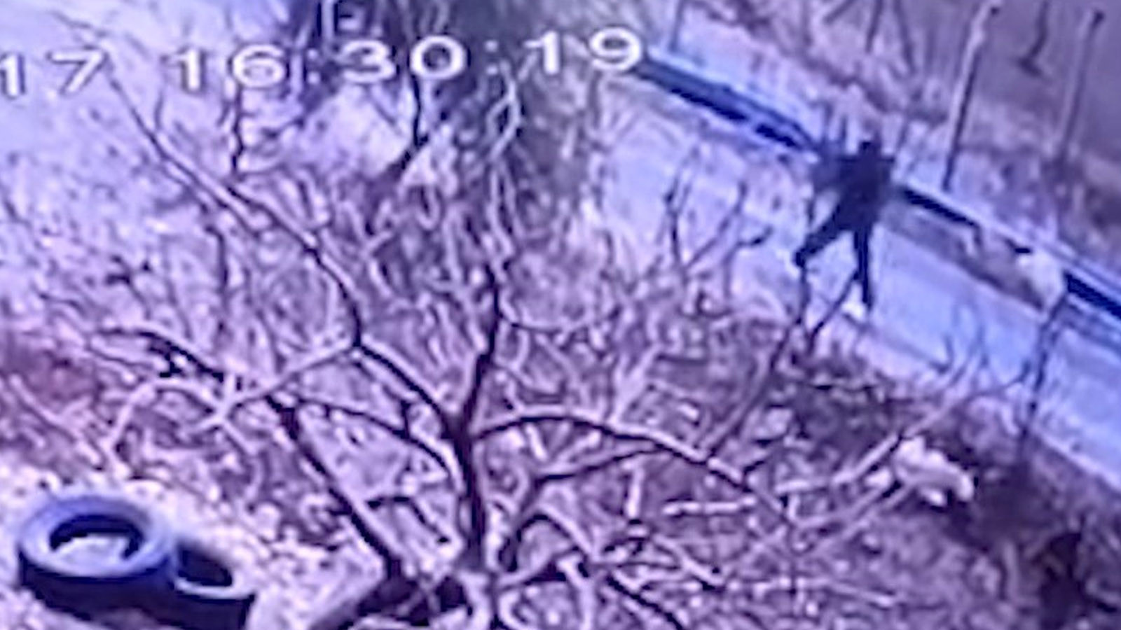 Şanlıurfa'da dehşet: Kendisine koşan köpeği tüfekle vurup katletti